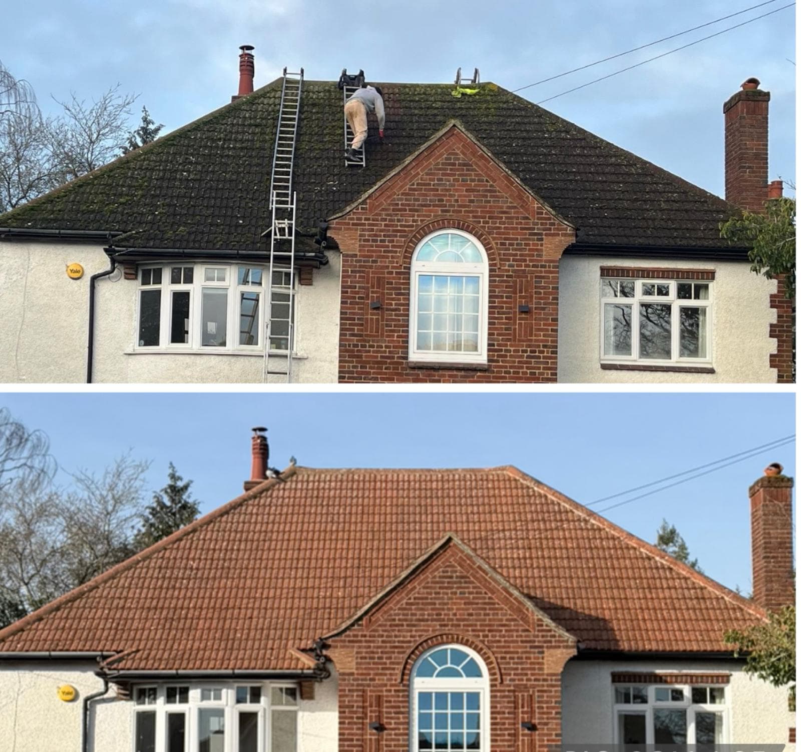 Before and after moss treatment