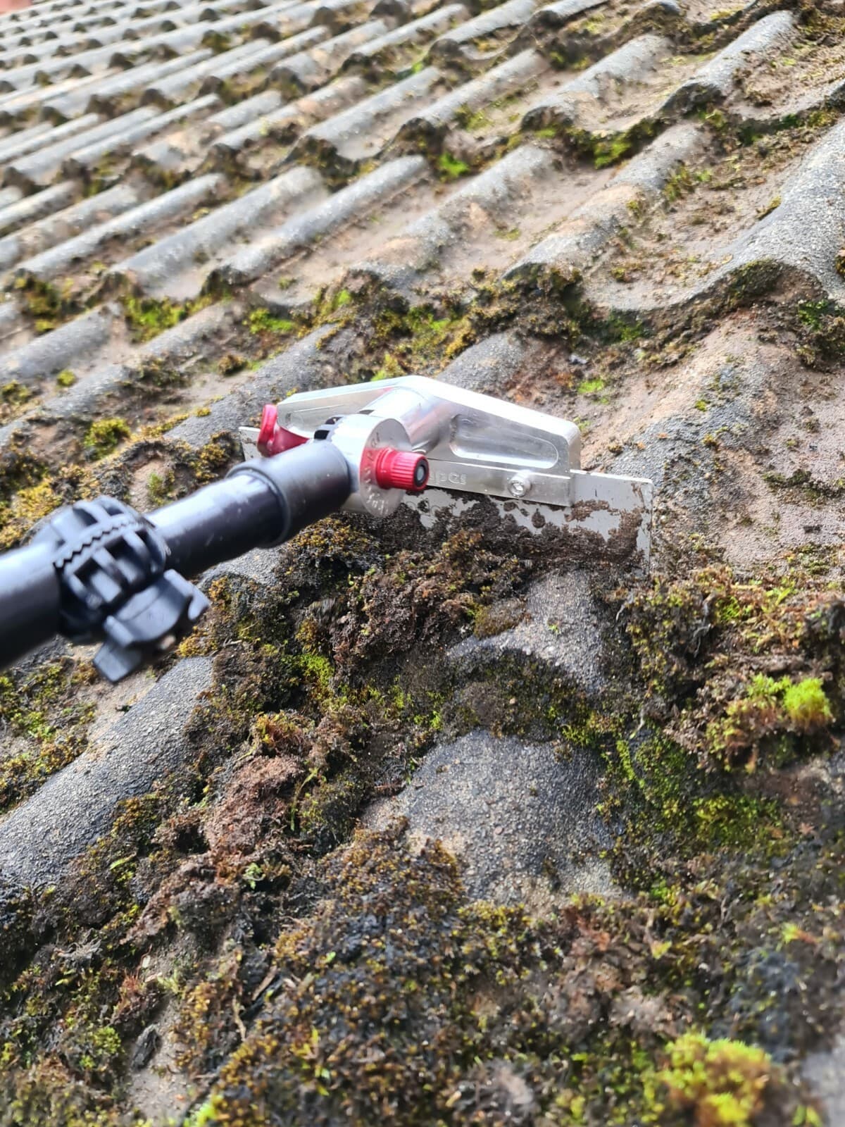 Elite roof cleaning work on a residential roof